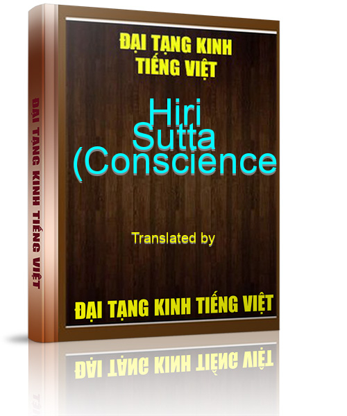 Đại Tạng Kinh Việt Nam